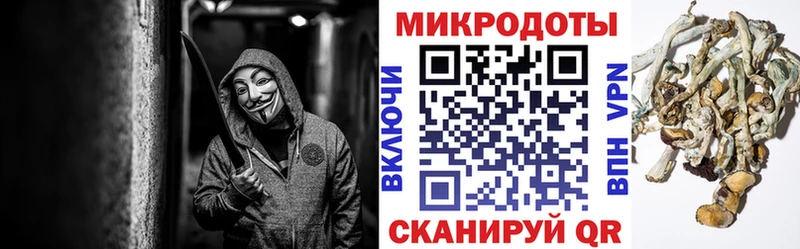 что такое Урюпинск Псилоцибиновые грибы Psilocybe